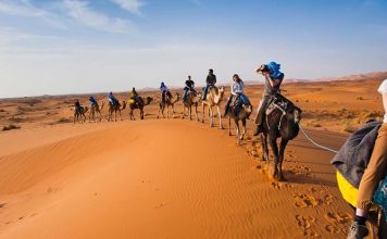 The Best Day Trips From Marrakech