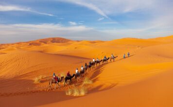 Discover the Majestic Zagora Desert from Marrakech: An Unforgettable Moroccan Adventure